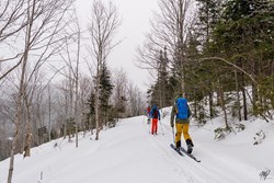 Une course festive et inclusive pour souligner l'arrivée du printemps