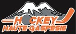 Hockey Haute-Gaspésie en Action 