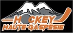 Entreprises Roy-Duguay & Ass - Novice C et Imprimerie Gaspésienne - Pee-wee B champions du tournoi Denis Labrie de Matane 